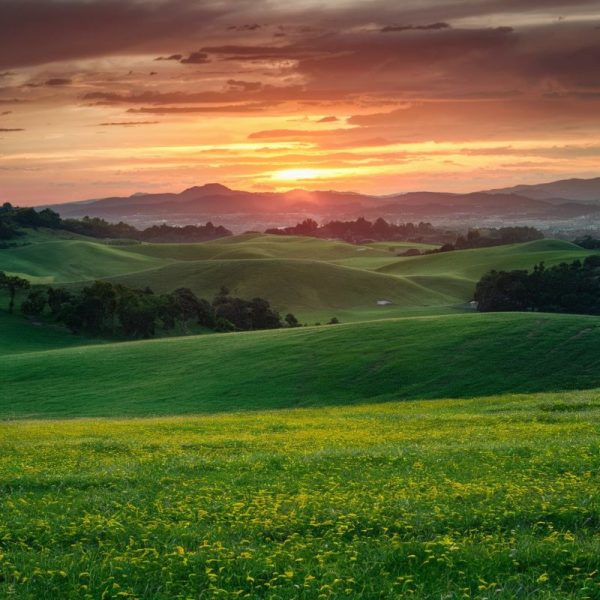 Venta campo agrícola XXX