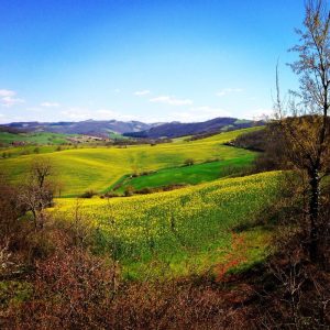 Venta campo agrícola XXX full