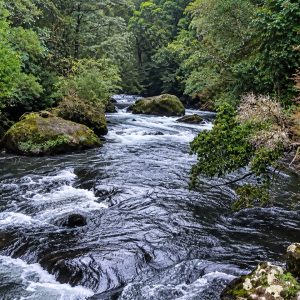 Venta campo 120 Ha: 50 Ha Agrícolas, 70 Ha de Bosque Nativo, Río y Vistas a Lagos y Volcanes full