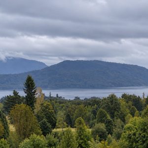Venta campo 120 Ha: 50 Ha Agrícolas, 70 Ha de Bosque Nativo, Río y Vistas a Lagos y Volcanes full