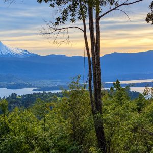Venta campo 120 Ha: 50 Ha Agrícolas, 70 Ha de Bosque Nativo, Río y Vistas a Lagos y Volcanes full