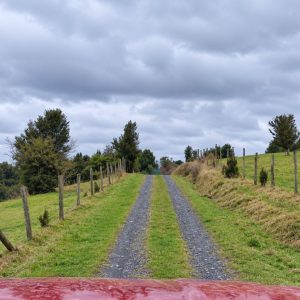 Venta campo 120 Ha: 50 Ha Agrícolas, 70 Ha de Bosque Nativo, Río y Vistas a Lagos y Volcanes full