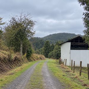 Venta campo 120 Ha: 50 Ha Agrícolas, 70 Ha de Bosque Nativo, Río y Vistas a Lagos y Volcanes full