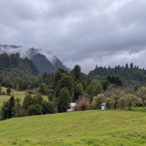 Venta campo 120 Ha: 50 Ha Agrícolas, 70 Ha de Bosque Nativo, Río y Vistas a Lagos y Volcanes full