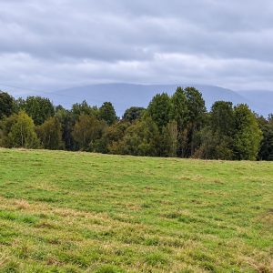 Venta campo 120 Ha: 50 Ha Agrícolas, 70 Ha de Bosque Nativo, Río y Vistas a Lagos y Volcanes full