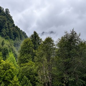 Venta campo 120 Ha: 50 Ha Agrícolas, 70 Ha de Bosque Nativo, Río y Vistas a Lagos y Volcanes full