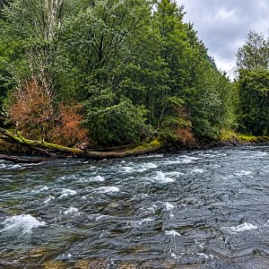Venta campo 120 Ha: 50 Ha Agrícolas, 70 Ha de Bosque Nativo, Río y Vistas a Lagos y Volcanes full