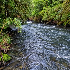 Venta campo 120 Ha: 50 Ha Agrícolas, 70 Ha de Bosque Nativo, Río y Vistas a Lagos y Volcanes full